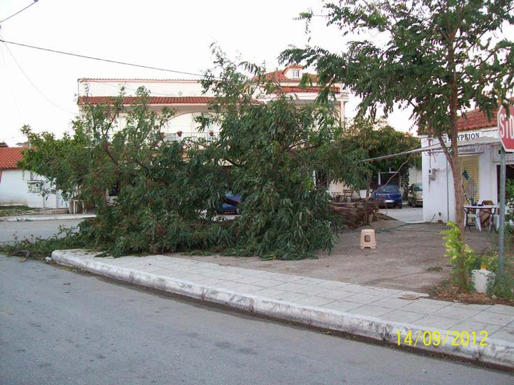 felaket-7.jpg felaket-7.jpg
