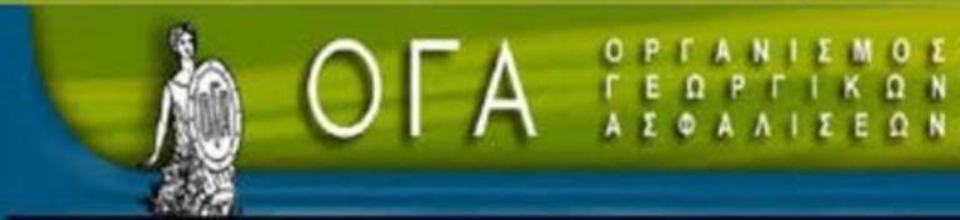 OGA2.jpg OGA2.jpg