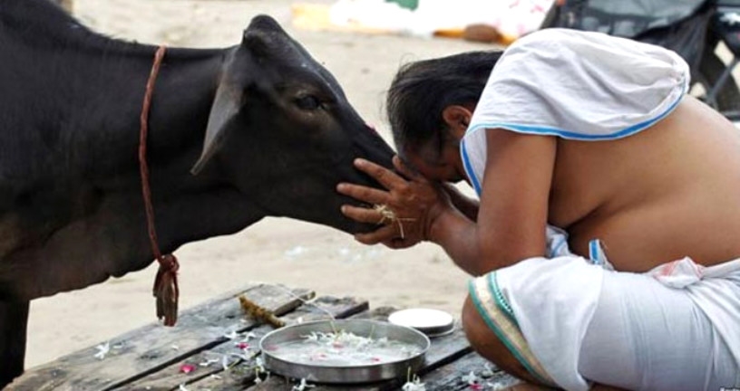 Hindistan'da inek kestiği söylenen Müslüman linç edilerek öldürüldü