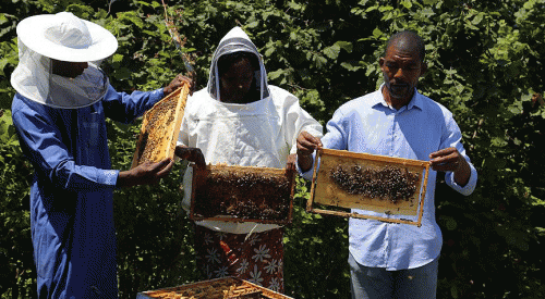Türkiye'nin arıcılık enstitüsü, yabancı arıcılara okul oldu
