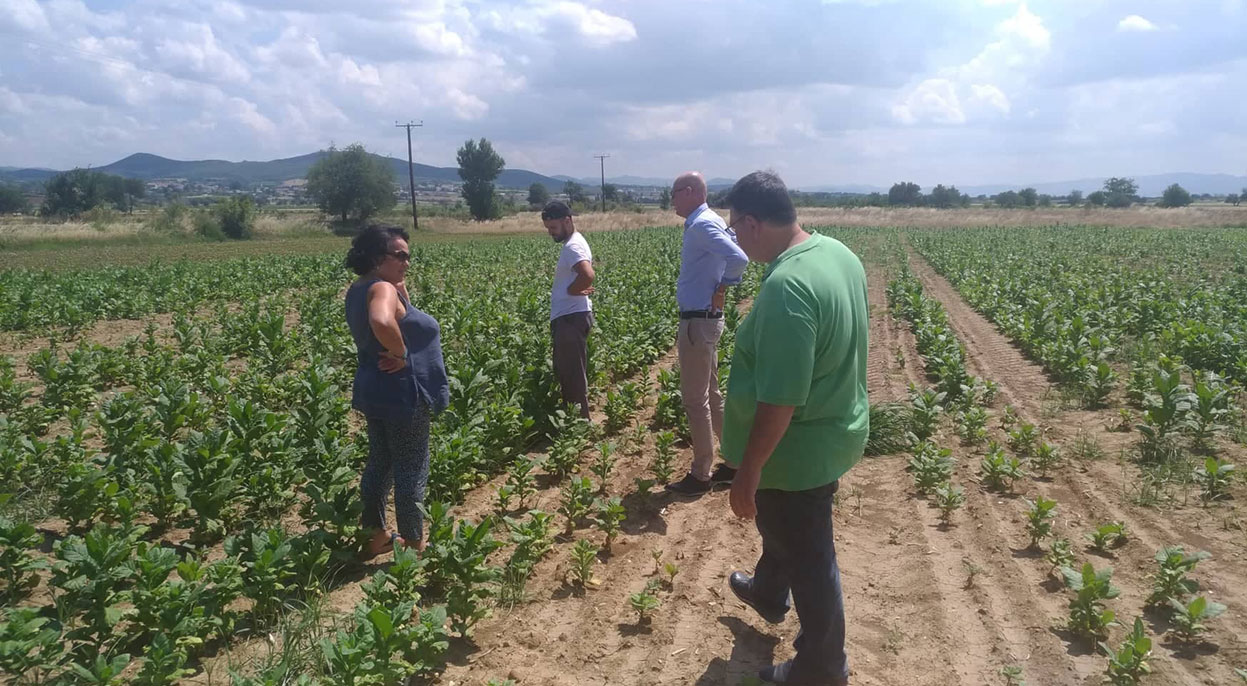 Tütün zararları ile ilgili rapor bakanlığa gönderildi