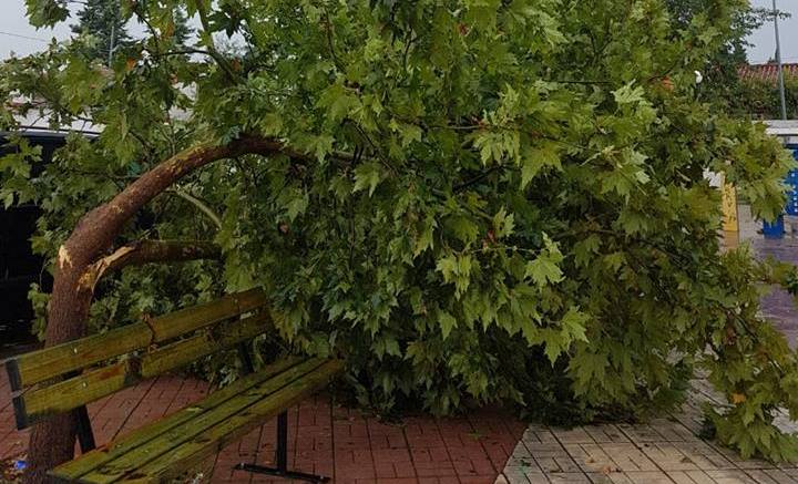 Şiddetli yağmur Rodop bölgesinde etkili oldu