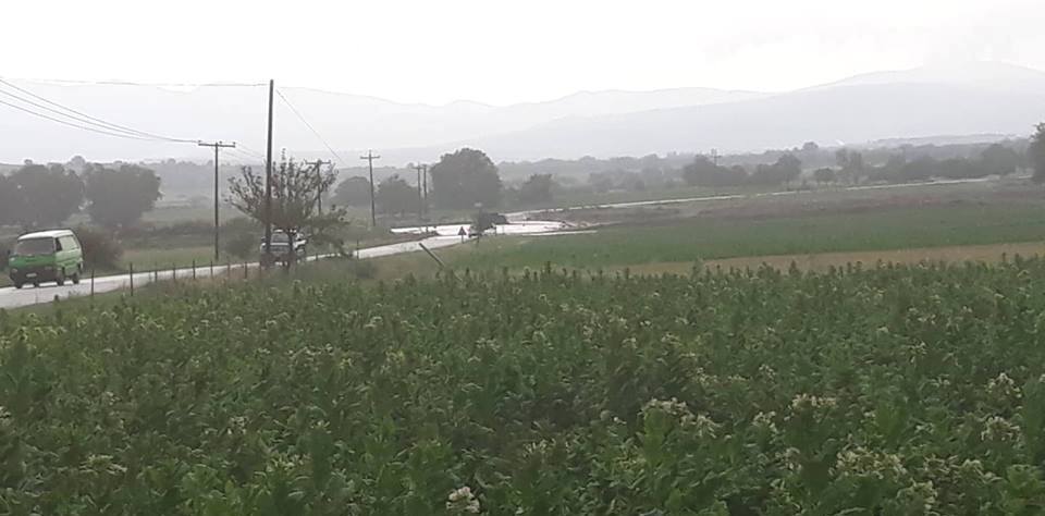 Sirkeli bölgesinde dolu ürünlere büyük zarar verdi