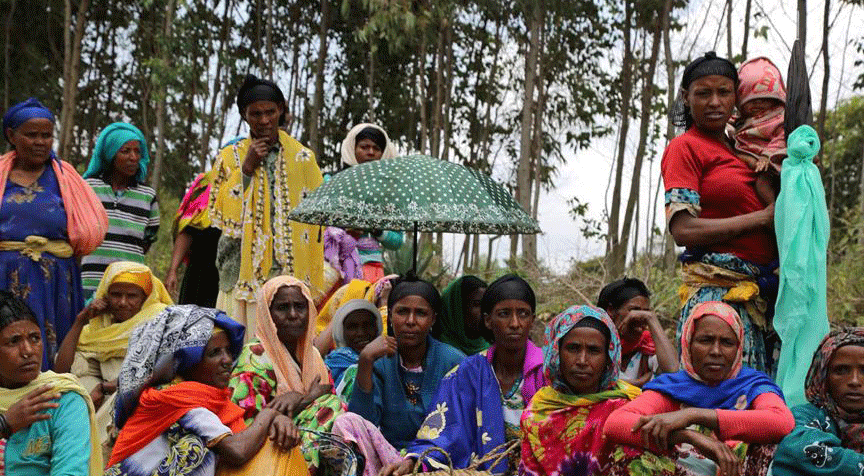 'Türkleri bize Allah gönderiyor'