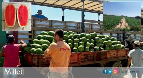 Karpuz projesi başarıyla  tamamlandı
