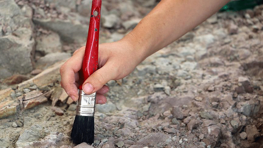 Bilinen en eski hayvan fosili bulundu