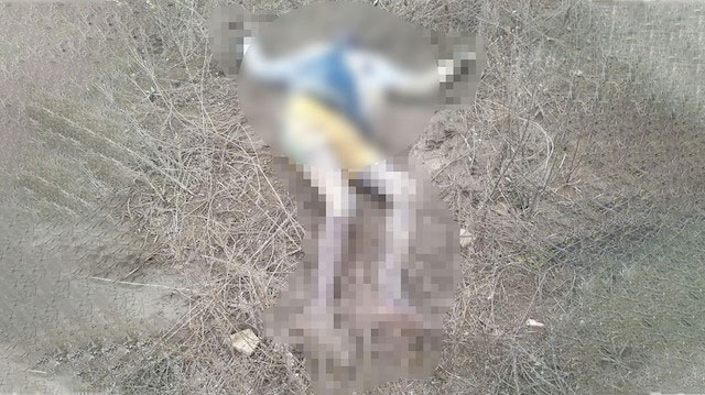 Yunanistan'dan Türkiye'ye gönderilen 3 göçmen donarak öldü