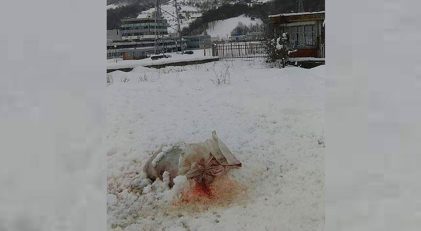 Srebrenitsa'daki anıt mezarlığı'na "domuz parçalı" saldırı