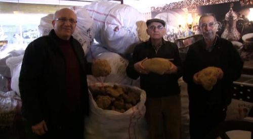 Türkiye'den Yunanistan'a deniz süngeri ihracatı