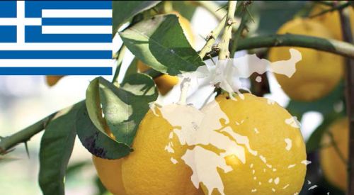 5 bin eurodan az devlet desteği alan çiftçilerin dikkatine!