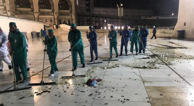 Kabe'yi böcekler istila etti
