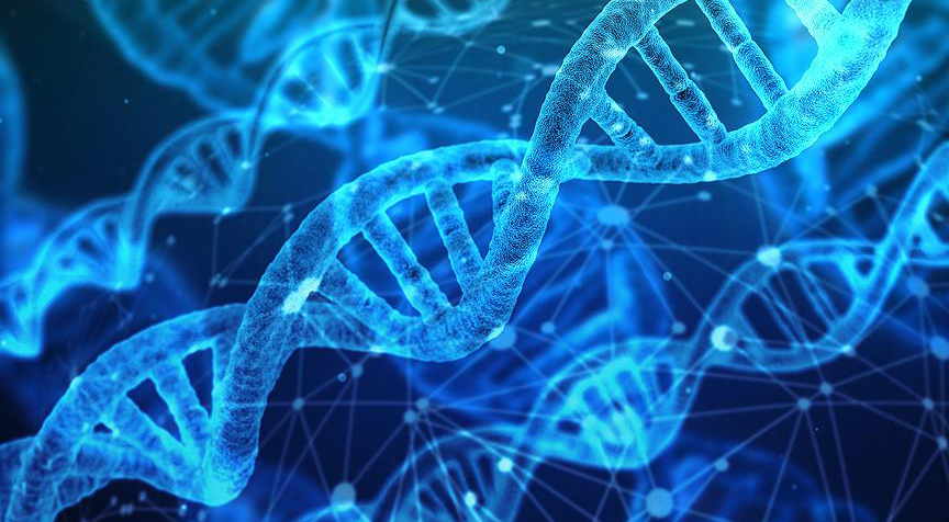 DNA yaşam süresi hakkında ipuçları veriyor