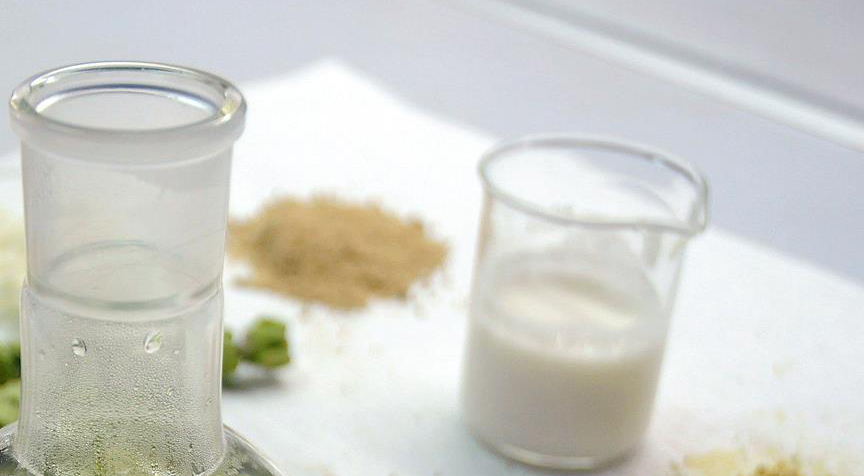 'DNA hasarına karşı kefir için'