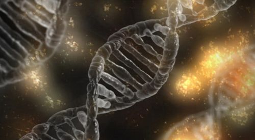 'Genetik hastalıkları düzeltebilmek artık hayal olmanın ötesinde'