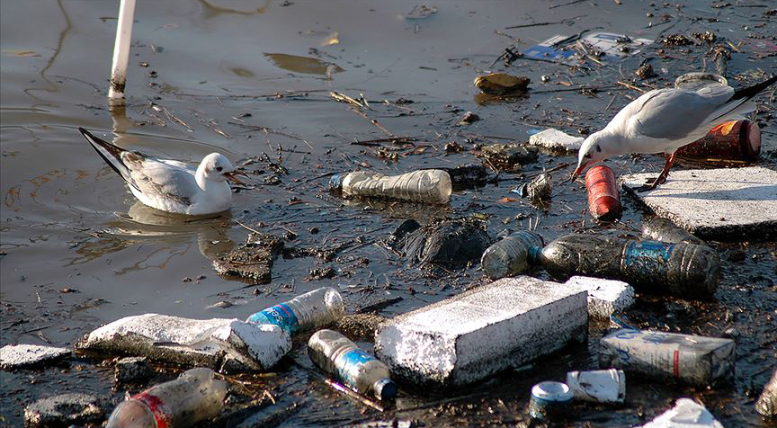 AP tek kullanımlık plastik ürünleri yasakladı