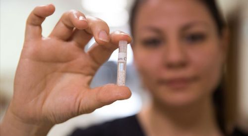 Doğanın gücü ile tedavi