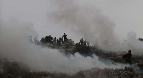 Yahudi yerleşimciler Filistinlilere ait yüzlerce zeytin ağacını ateşe verdi
