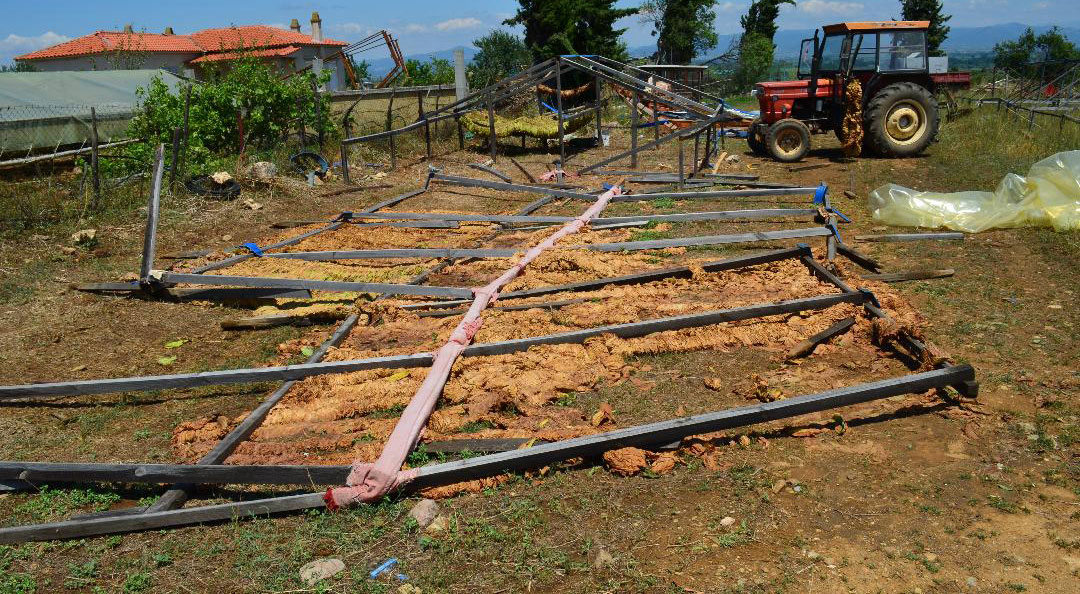 Trakya Tütün Üreticileri Kooperatifi tazminat talep etti