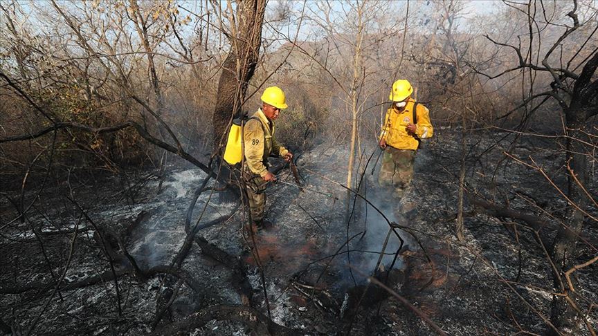 Amazonlardaki yangınlara çözüm için zirve düzenlenecek