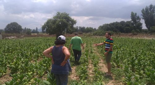 Milletvekili Zeybek tütüncülerin zararlarını sordu