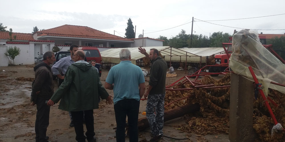 Ortakışla’da kasırga çatılara ve tütünlere zarar verdi