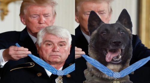 ABD Başkanı Trump'tan montajlı paylaşım