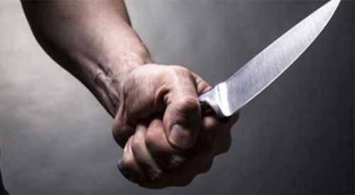 Göçmenler soydaşın boğazına bıçak dayayıp, arabasını çaldılar