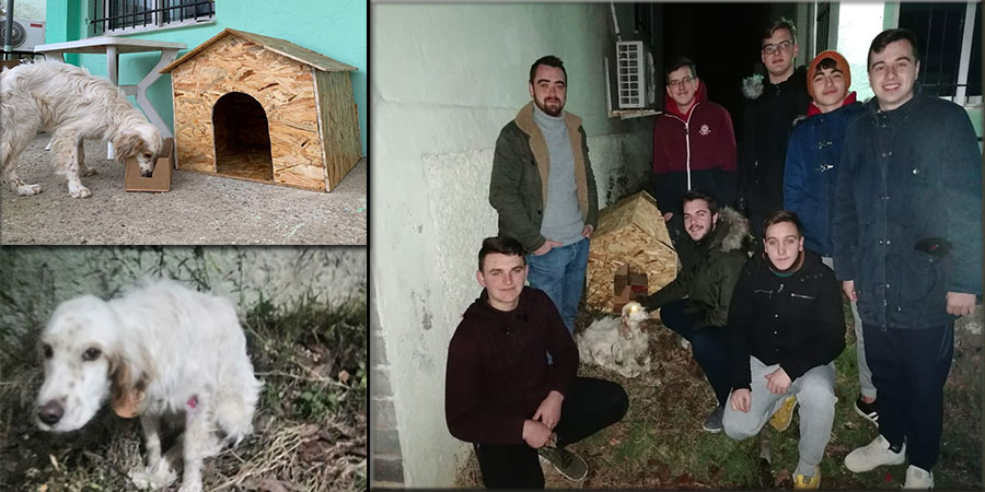 Hemetli gençleri sahipsiz “Mery”e kucak açtılar