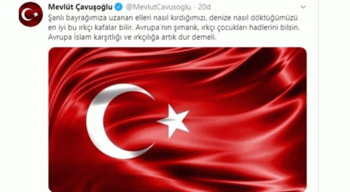 Türkiye Dışileri Bakanı Çavuşoğlu'ndan ırkçı vekil Lagos'a sert tepki