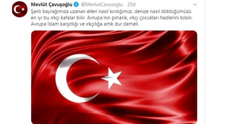 Türkiye Dışileri Bakanı Çavuşoğlu'ndan ırkçı vekil Lagos'a sert tepki