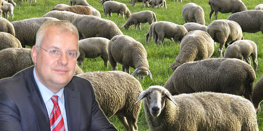 Besicilerin ellerinde kalan hayvanları devlet satın almalı!