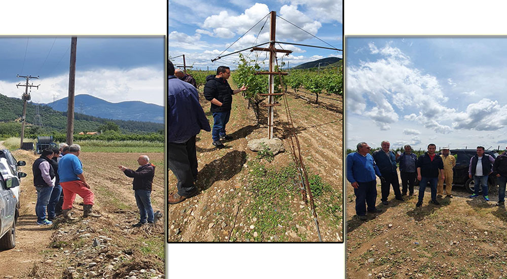 ELGA yetkilileri Yassıköy bölgesini incelediler