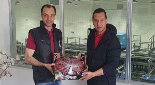 Yaka çiftçisi için alternatif ürün Yaban Mersini (Blueberry)