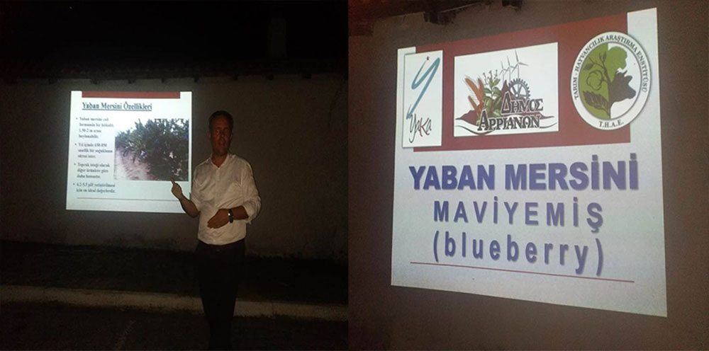 Kozlukebir köyünde yaban mersini sunumu yapıldı