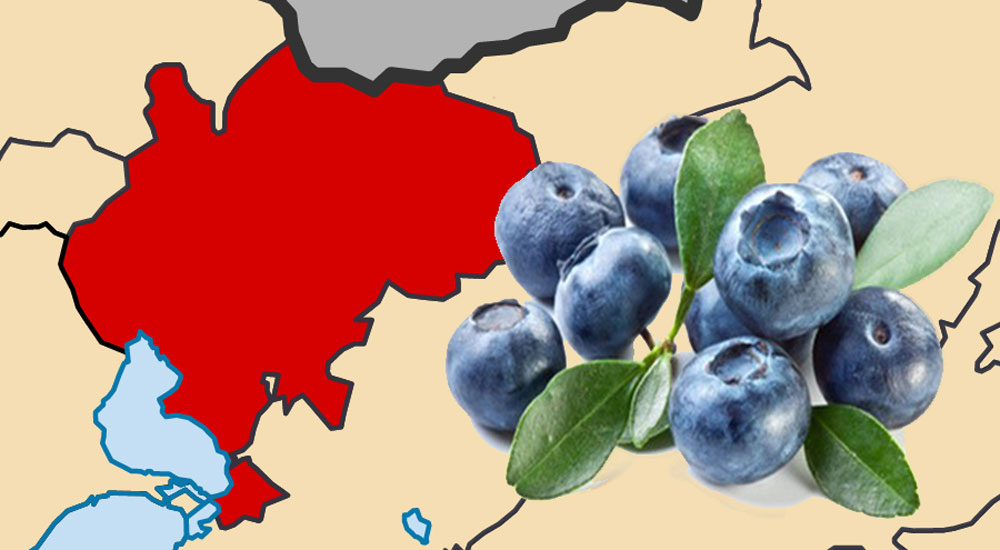 Yaka halkına Yaban Mersini yetiştiriciliği anlatılacak