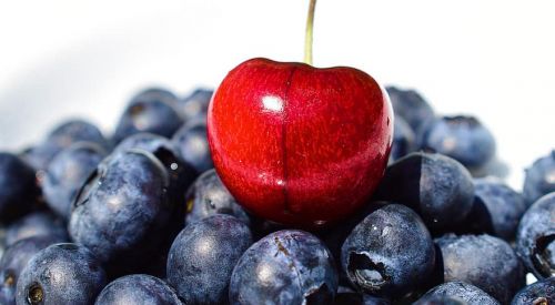 Yaban Mersini ve Kiraz yetiştiriciliği ile ilgili toplantılar başlıyor