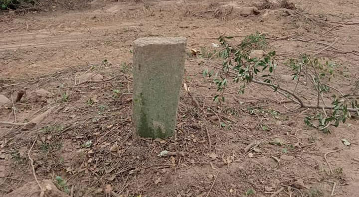 Kaderine terk edilmiş Horozlu mezarlığı temizlendi