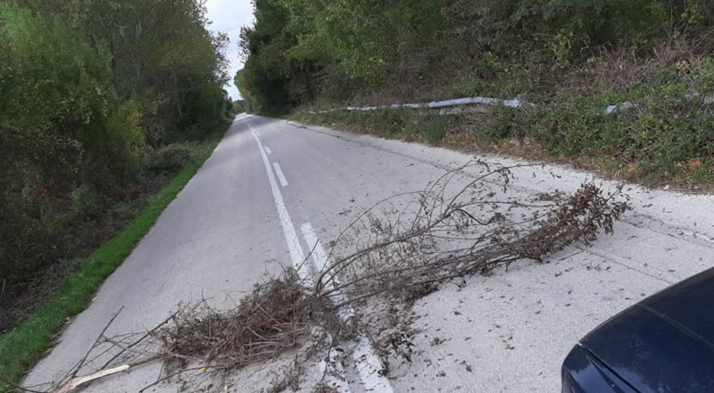 Göçmenler dallarla yolu kesip soydaşa saldırdılar