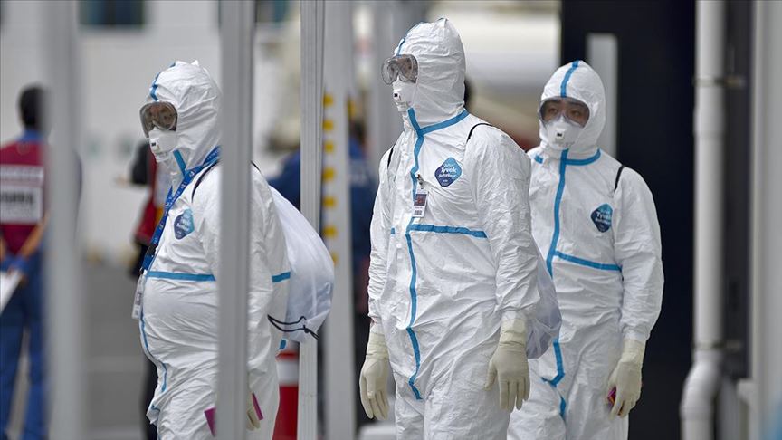 Japonya'nın Kagawa eyaletinde kuş gribi vakası