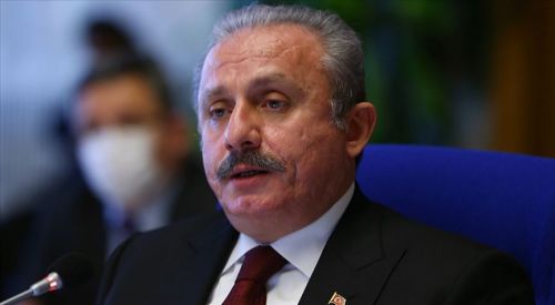 'Fransız polisinin çocukları gözaltına alması eşkıyalıktır'