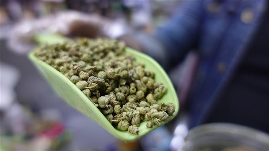 Kovid-19'a karşı bağışıklığın güçlendirilmesi için 'kekik' önerisi