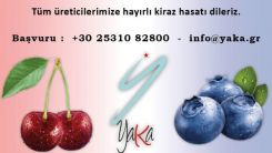 Yaka İKE'den iş duyurusu: 84 kişi işe alınacak