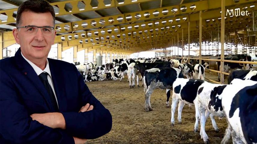 Milletvekili Baran büyükbaş hayvan besicilerinin mağduriyetini sordu