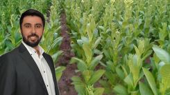 YDP hükümeti azınlık tütüncüsünü görmezden geliyor