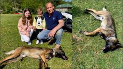 Caniler köpeği zehirleyerek öldürmüşler