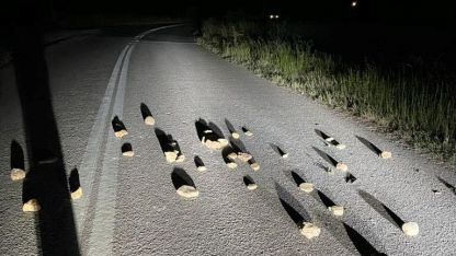 Şapçı – Kurcalı yolunda taşlarla tuzak kuruldu