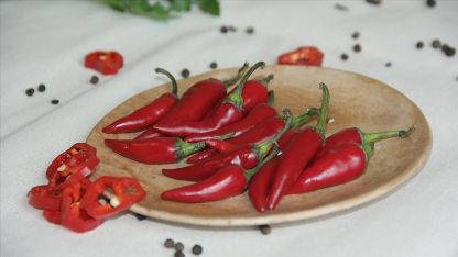 Araştırma: Acıya duyarlı kişilerin Kovid-19’a yakalanma riski düşük 