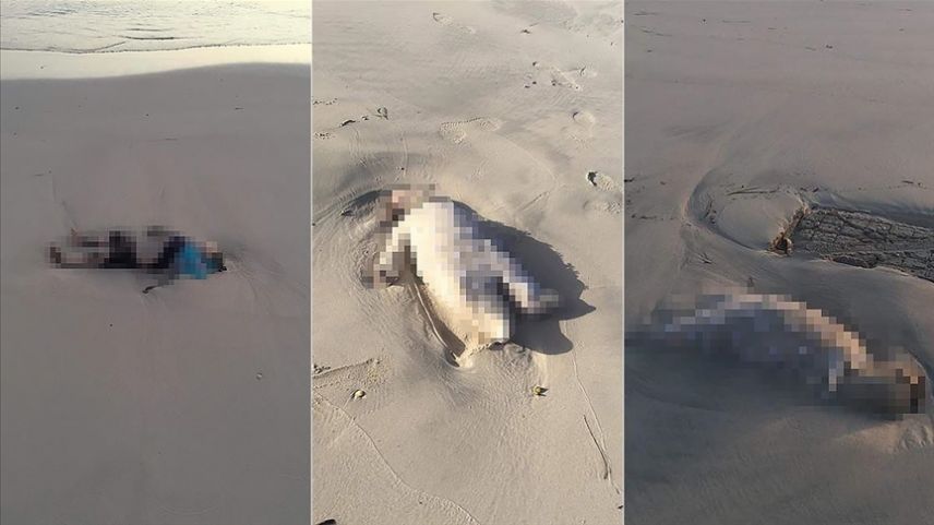 Boğulan çocukların cesetlerinin Libya kıyılarına vurduğu "üzülerek" doğrulandı