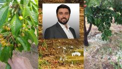 Özgür Ferhat kiraz üretimindeki zararın tespit edilmesini talep etti