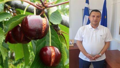 Başkan Önder Mümin kirazcılara müjdeyi verdi